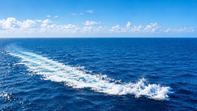 Open sea on the Qingdao export route